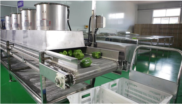 中央小黄片链接下载工程图片