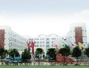 乐山外国语小学学校食堂小黄片链接下载设备工程项目