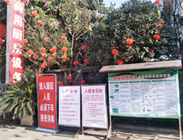 疫情无情人有情，我为抗疫做贡献！