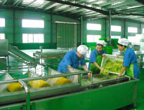 四川中央小黄片链接下载设备厂家详解中央小黄片链接下载的分区要自己设计注意事项